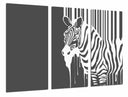 Tríptico cebra en blanco y negro, animal, decoracion