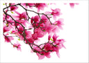 Lámina oriental ,arbo,l ramas, rosa ,decoracion, naturaleza ,almendro