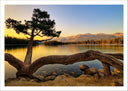 Lámina Paisaje Naturaleza Lago Laguna Arbol Atardecer