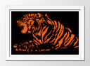 Cuadro enmarcado blanco tigre naranja y negro, animal, decoracion
