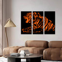 Estancia tigre naranja y negro, animal, decoracion