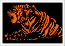 Lámina tigre naranja y negro, animal, decoracion