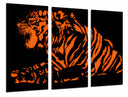 Tríptico tigre naranja y negro, animal, decoracion