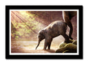 Cuadro enmarcado negro Paisaje Naturaleza Lago Laguna Río Elefante