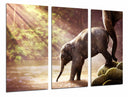 Tríptico Paisaje Naturaleza Lago Laguna Río Elefante