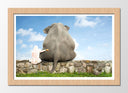 Cuadro enmarcado natural elefante con niña, amistad, decoracion, infantil