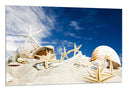 Cuadro caracola en una playa, conchas,estrella de mar, arena