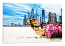 Cuadro camello en la playa, ciudad e dubai