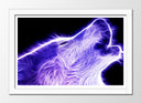 Cuadro enmarcado blanco lobo aullando neon, morado en fondo negro