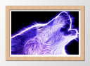 Cuadro enmarcado natural lobo aullando neon, morado en fondo negro