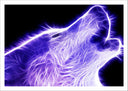 Lámina lobo aullando neon, morado en fondo negro