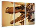 Tríptico fosil dinosaurio t-rex, arqueologia, animal, salvaje