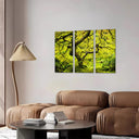 Estancia oriental arbol ,verde, paisaje, naturaleza, relajacion