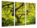 Tríptico oriental arbol ,verde, paisaje, naturaleza, relajacion