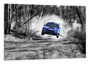 Cuadro Coche Carreas Subaru Azul Paisaje Bosque, Blanco y Negro
