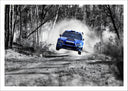 Lámina Coche Carreas Subaru Azul Paisaje Bosque, Blanco y Negro