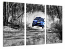 Tríptico Coche Carreas Subaru Azul Paisaje Bosque, Blanco y Negro