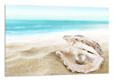 Cuadro ostra en la playa, perla, arena,mar, concha