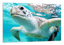 Cuadro tortuga en el oceano, tropical, salvaje, naturaleza, animal