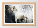 Cuadro enmarcado natural caballo blanco con fondo de bosque, nieve, naturaleza, salvaje