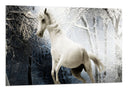 Cuadro caballo blanco con fondo de bosque, nieve, naturaleza, salvaje