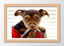 Cuadro enmarcado natural imagen perro cachorro en bolso, animal, bonito, amor