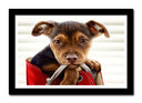 Cuadro enmarcado negro imagen perro cachorro en bolso, animal, bonito, amor