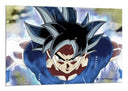 Cuadro pelicula, serie, dragon ball, son goku