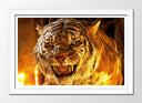 Cuadro enmarcado blanco tigre de fuego, furia, salvaje, animal