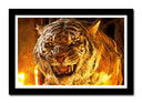 Cuadro enmarcado negro tigre de fuego, furia, salvaje, animal