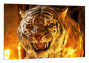 Cuadro tigre de fuego, furia, salvaje, animal