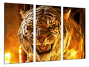 Tríptico tigre de fuego, furia, salvaje, animal