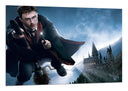 Cuadro harry potter, nimbus 2000
