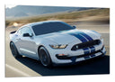 Cuadro Ford Shelby GT350,blanco con dos rallas azules