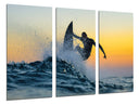 Tríptico Surf, Puesta de Sol