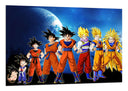 Cuadro Anime Dragon Ball, Son Goku, Evolución