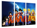 Tríptico Anime Dragon Ball, Son Goku, Evolución