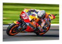 Cuadro Moto GP, 93, Repsol, Marc Marquez