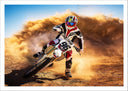 Lámina Motor, Cross Suzuki