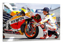 Cuadro Moto Gp, Marck Marquez, Moto, flores, Repsol