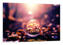 Cuadro burbuja , planta, vintage, decoracion , bosque