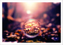 Lámina burbuja , planta, vintage, decoracion , bosque
