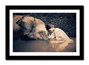Cuadro enmarcado negro niña con elefante, color sepia, ternura, decoracion, animal