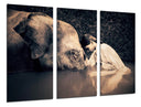 Tríptico niña con elefante, color sepia, ternura, decoracion, animal