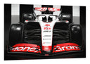 Cuadro Fórmula 1, Haas VF-23