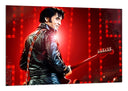 Cuadro Elvis Presley