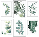 Botánica, Plantas