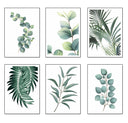 Botánica, Plantas