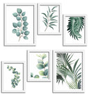 Set de Laminas enmarcadas Marco Blanco Botánica, Plantas