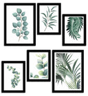 Set de Laminas enmarcadas Marco Negro Botánica, Plantas